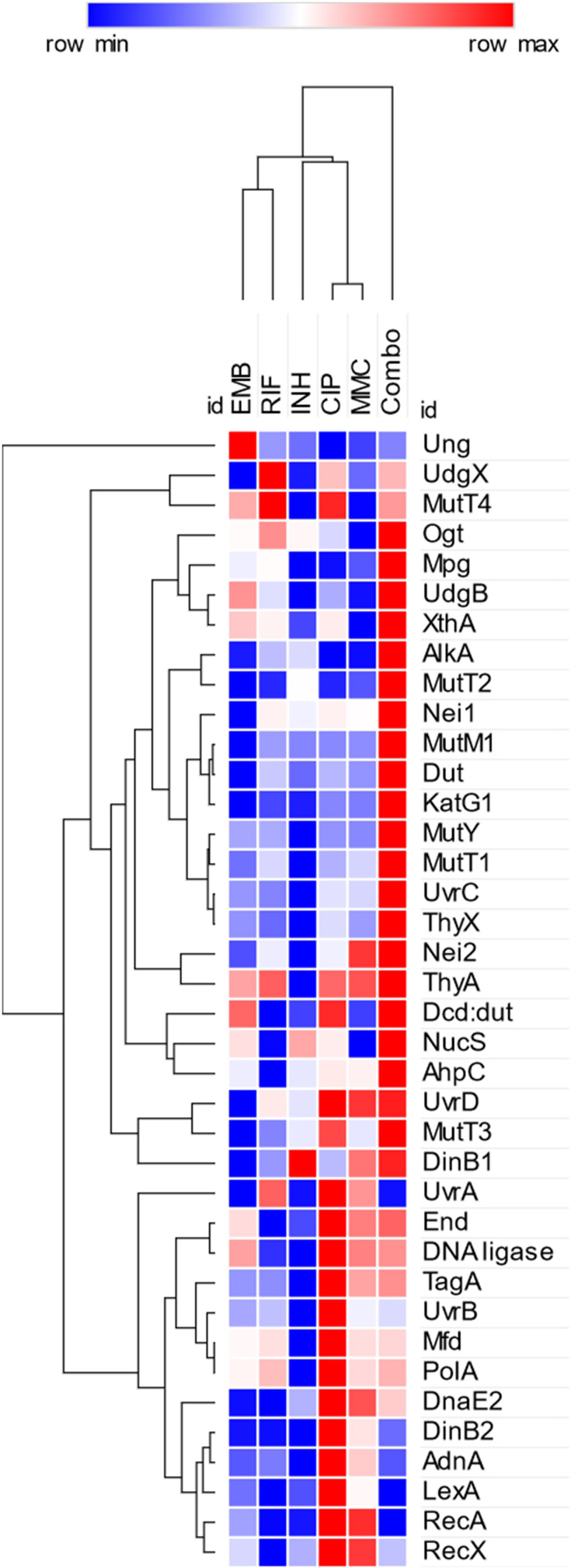 Figure 3—figure supplement 3.