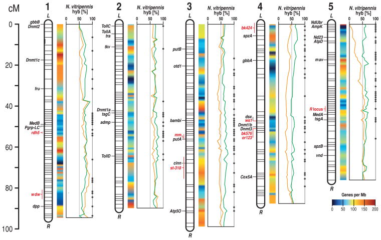 Fig. 2