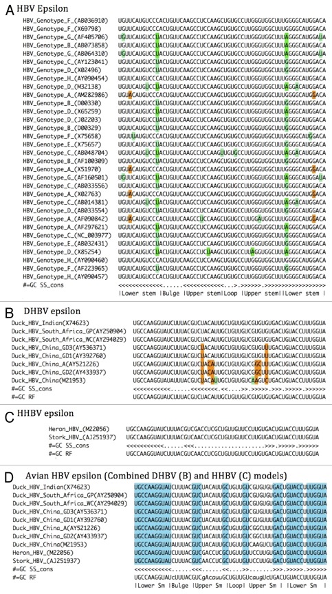 graphic file with name rna-9-130-g3.jpg