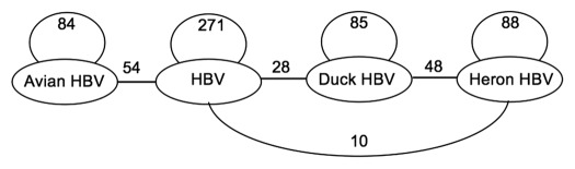 graphic file with name rna-9-130-g4.jpg