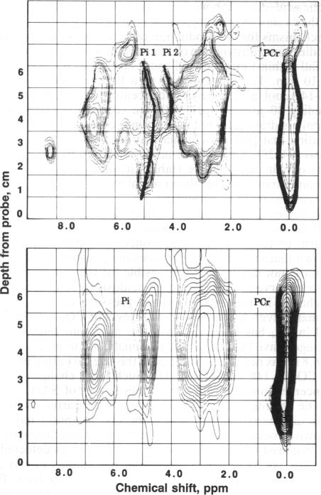 graphic file with name pnas01127-0315-a.jpg