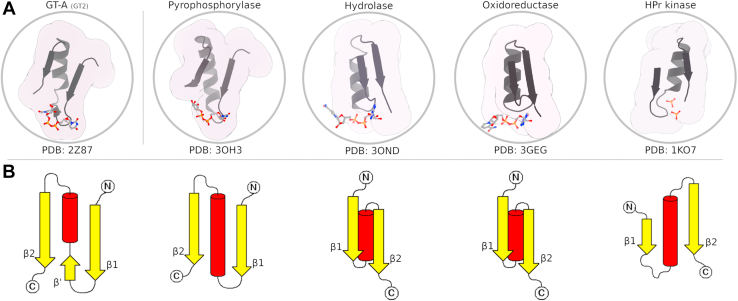 Figure 1