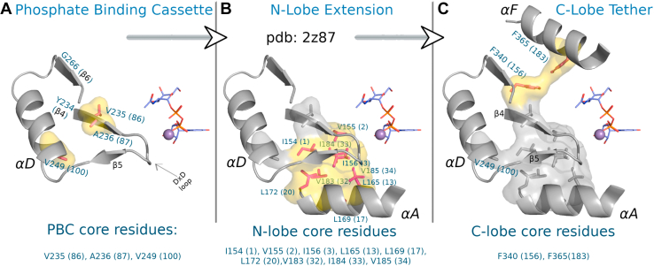 Figure 2