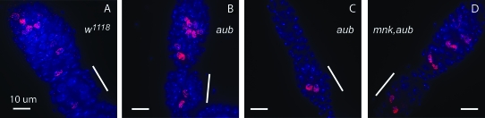 Figure 7.—