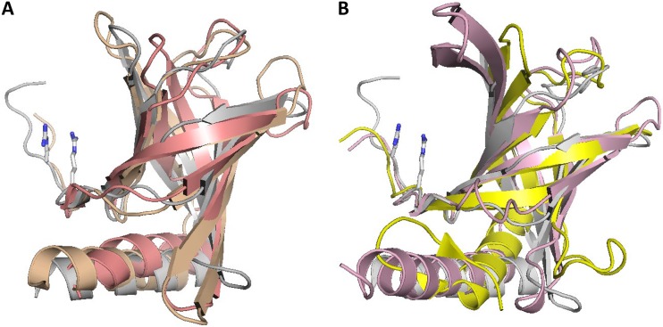 FIG 1