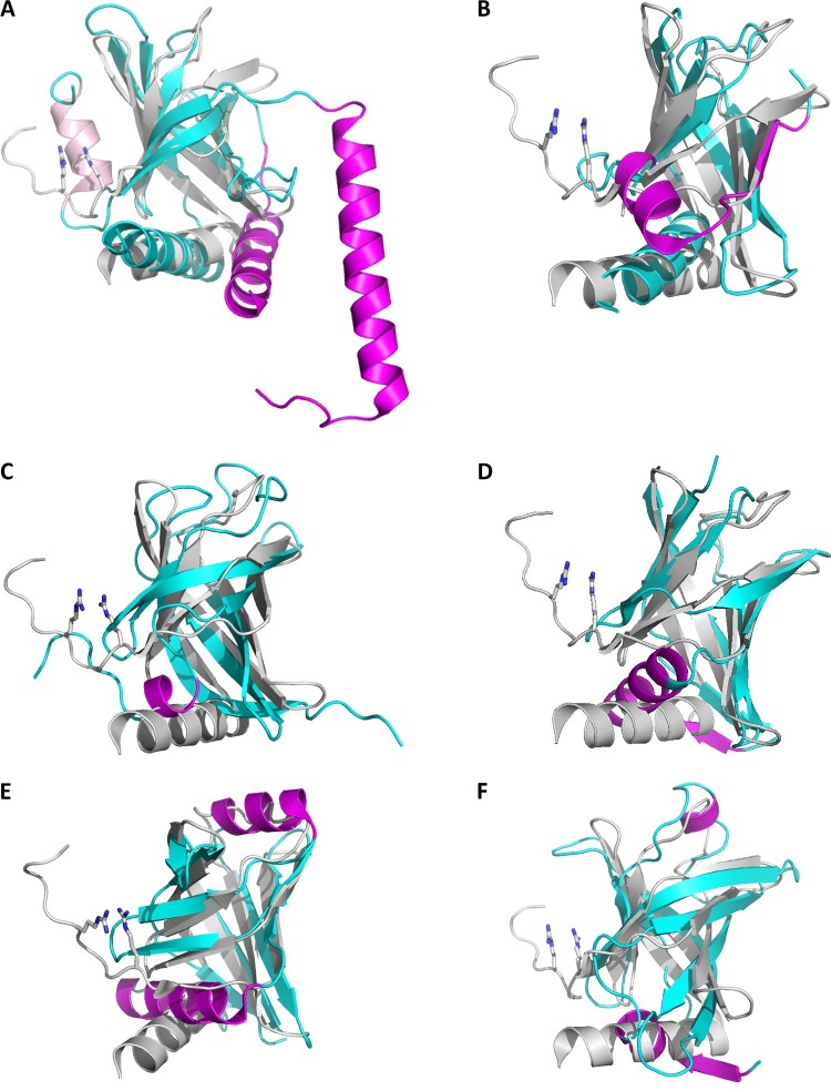 FIG 4