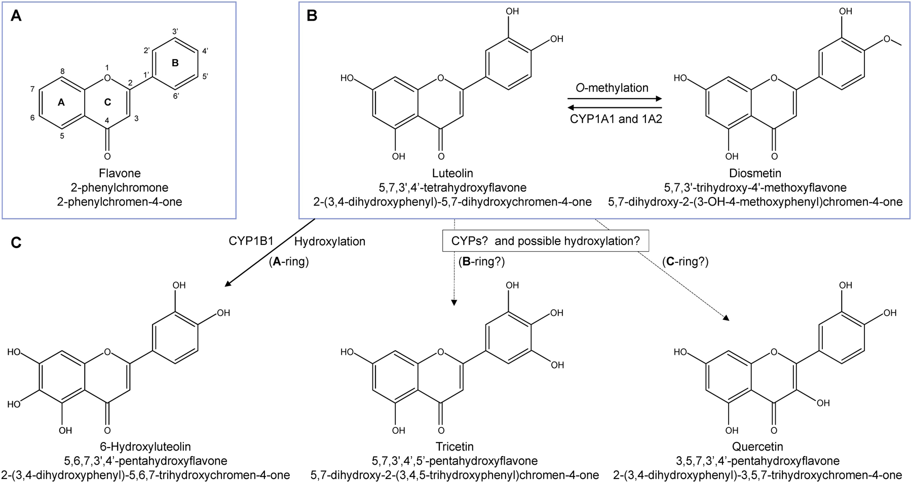 Figure 1.