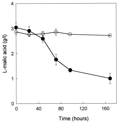 FIG. 7