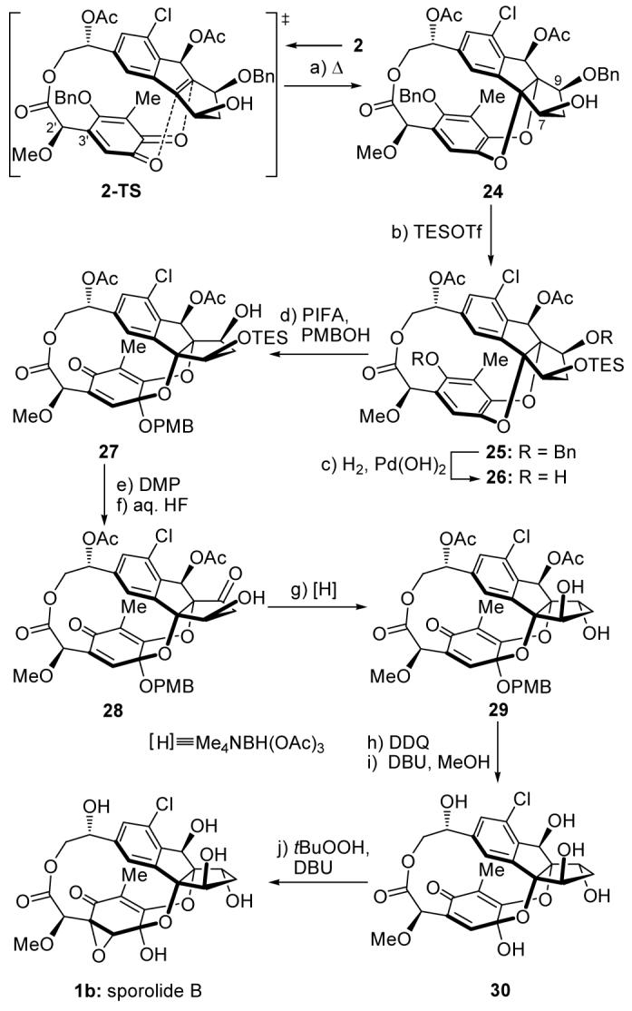 Scheme 5