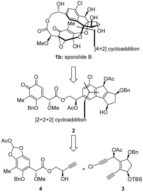 Scheme 1