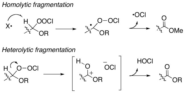 Scheme 4