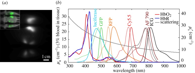 Figure 3.