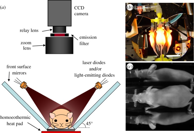 Figure 6.