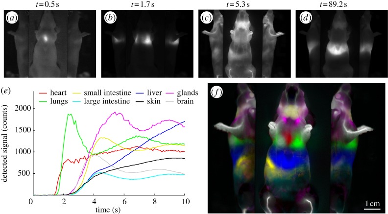 Figure 4.