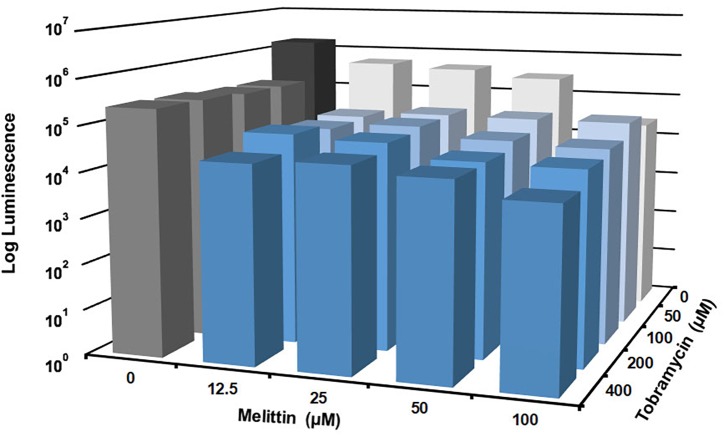 FIGURE 3