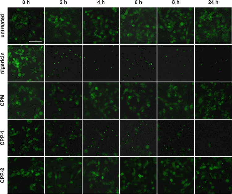 FIGURE 9