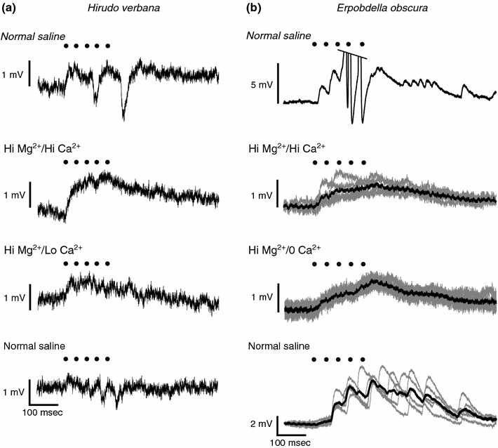 Fig. 7