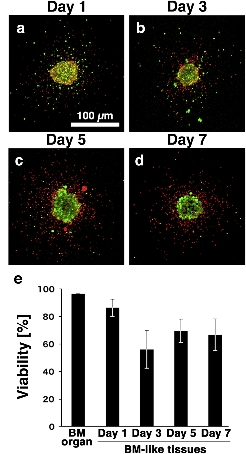 Fig. 4