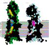 Extended Data Fig. 7 |