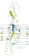 Extended Data Fig. 9 |