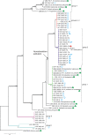 Fig. 2.
