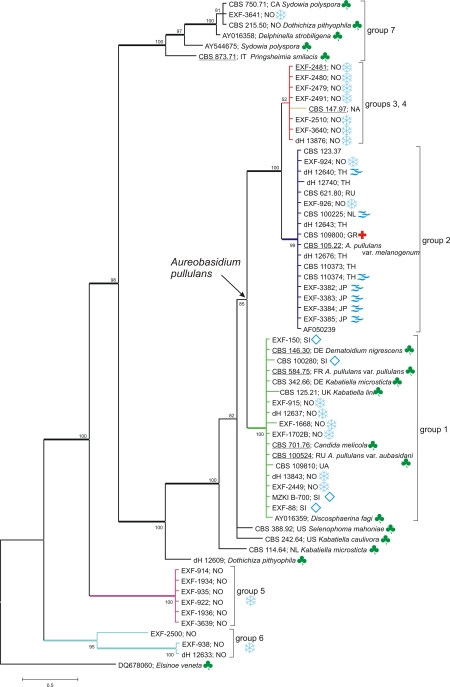 Fig. 2.