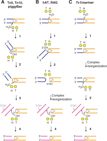 Figure 7.