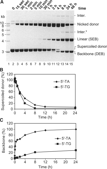 Figure 6.