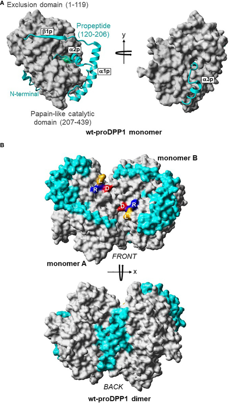 Figure 3