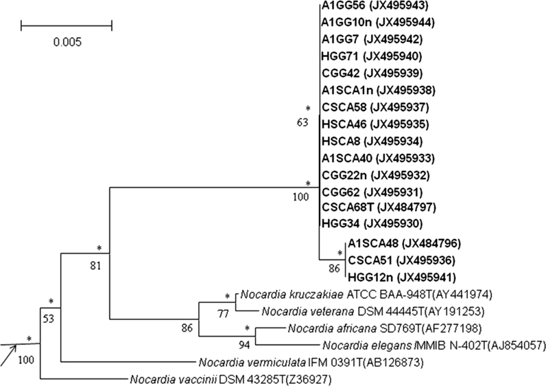 Fig. 1