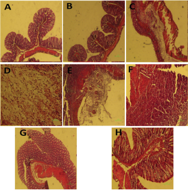 Fig.1