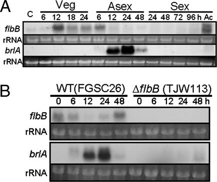 FIG. 5.