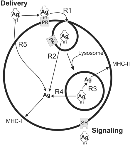 Figure 11.