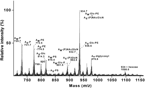 Figure 3.