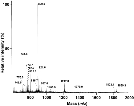 Figure 1.