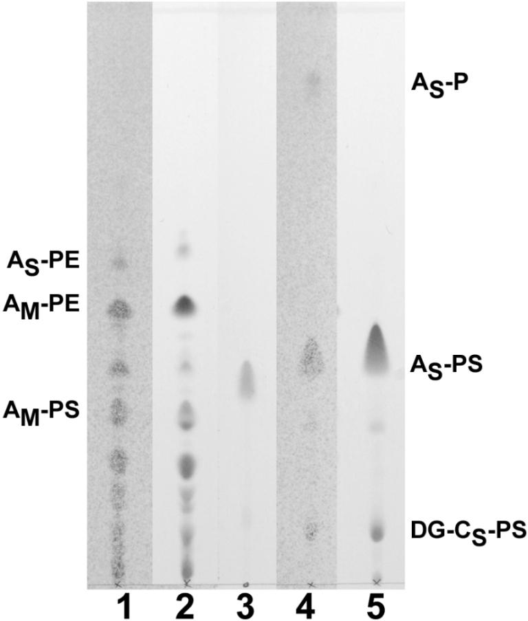 Figure 4.