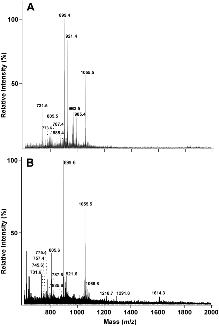 Figure 2.