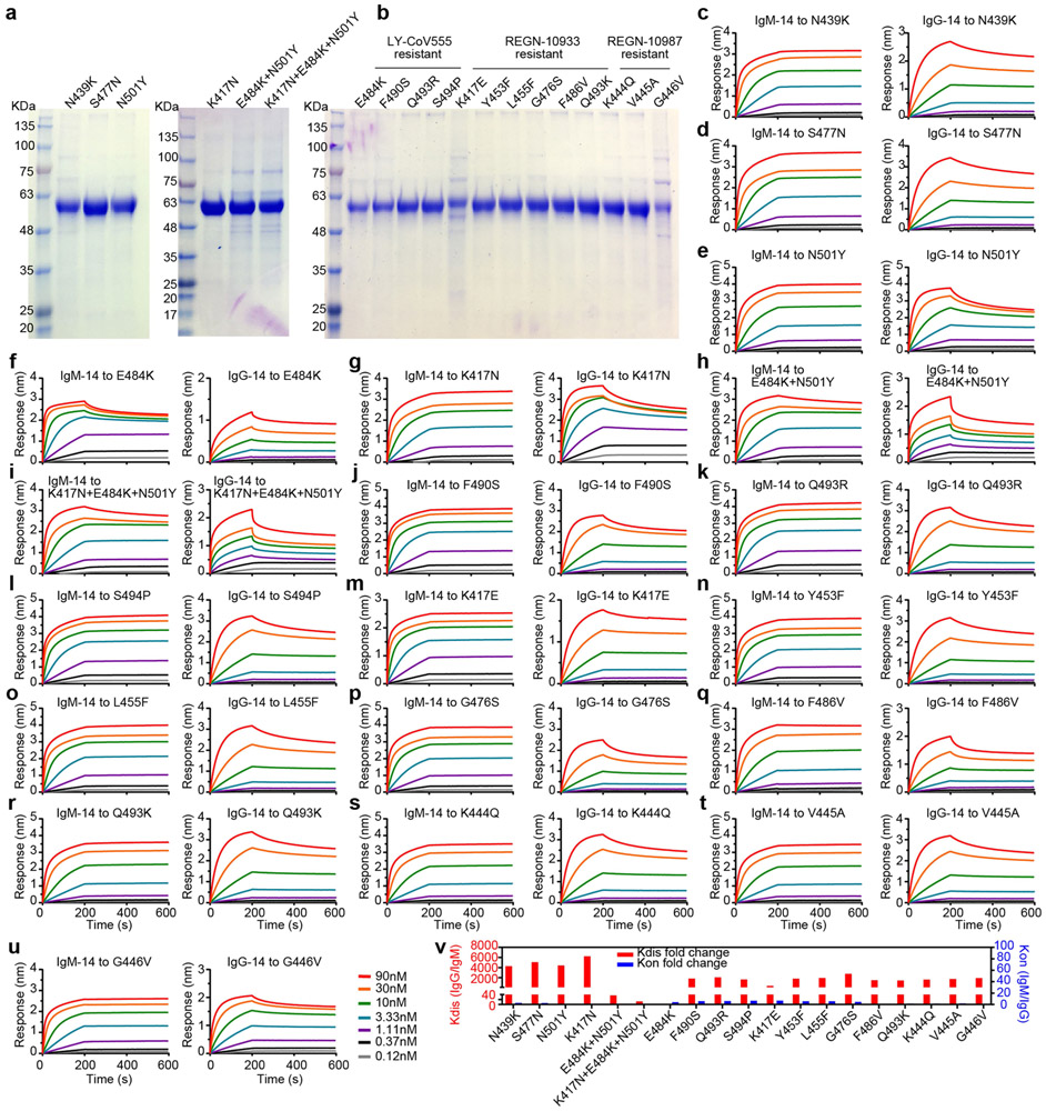 Extended Data Fig. 7 ∣