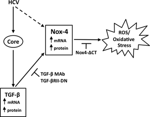 FIG. 9.