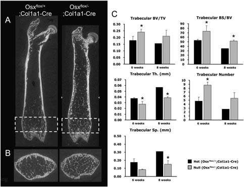 Figure Figure 4