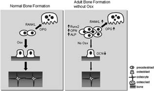 Figure Figure 7