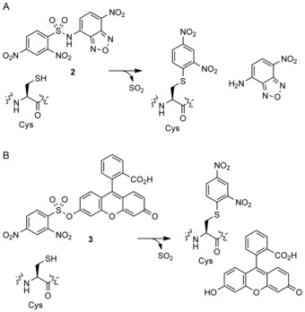 Scheme 2