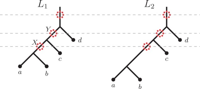 Fig. 7.