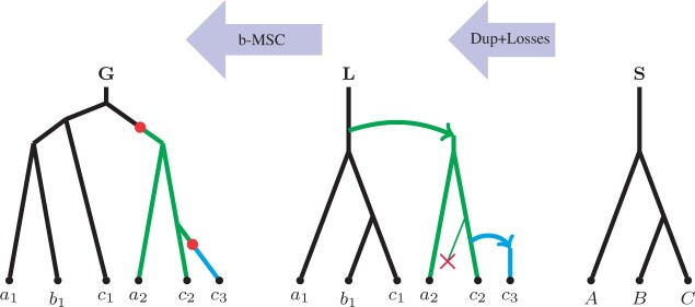 Fig. 2.