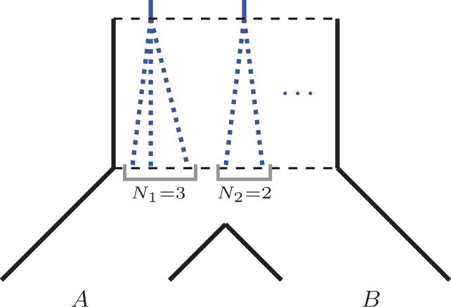 Fig. 10.