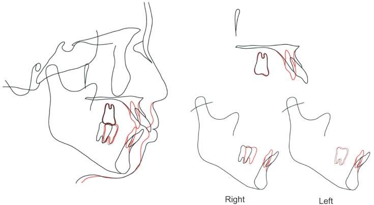 Figure 10