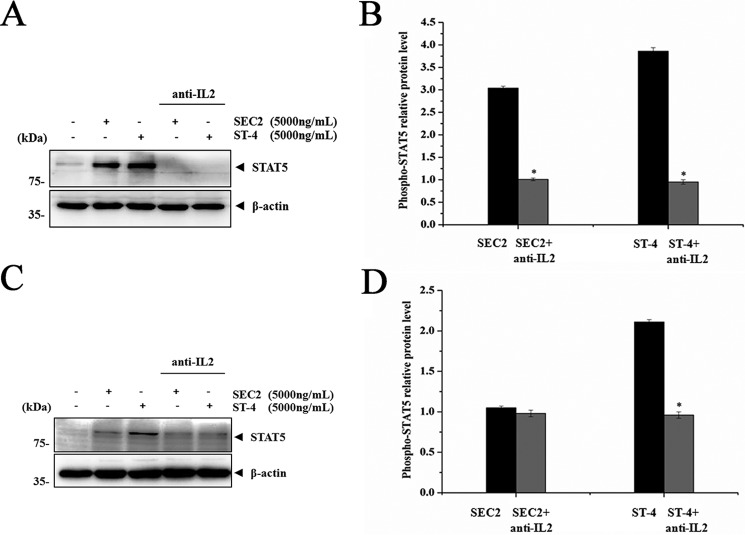 Figure 11.