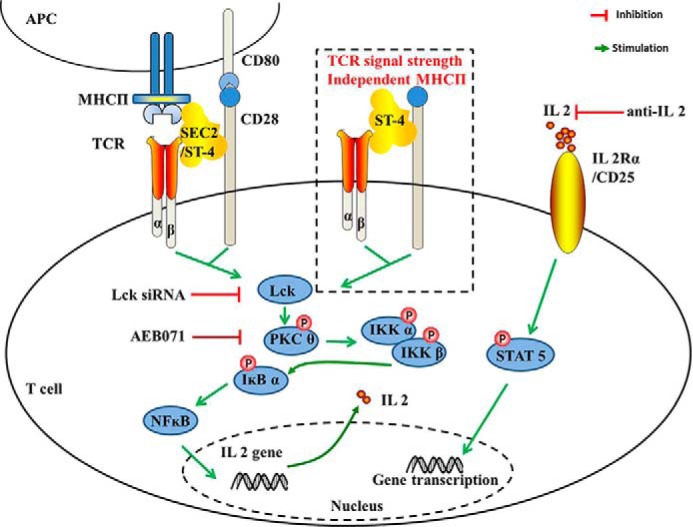 Figure 12.