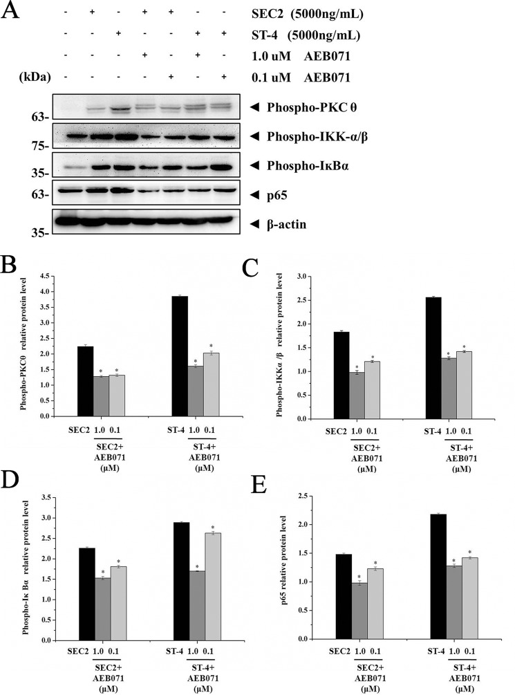 Figure 7.