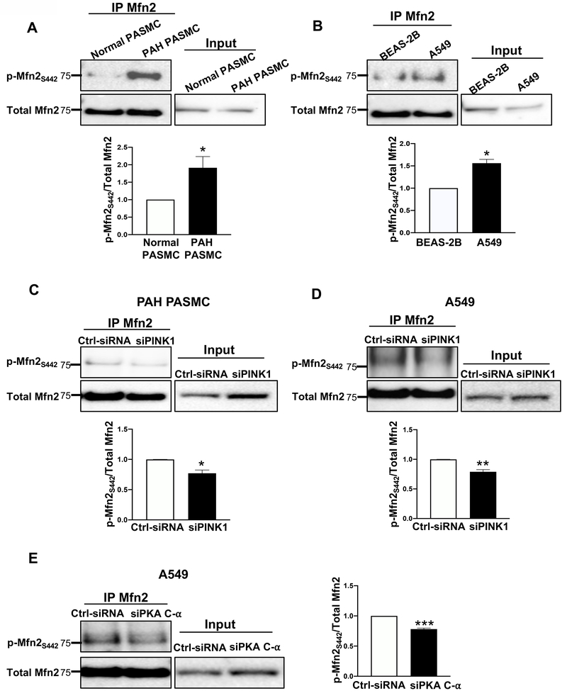 Figure 4: